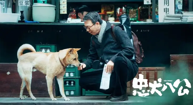 网易云有地区权限嘛怎么关闭